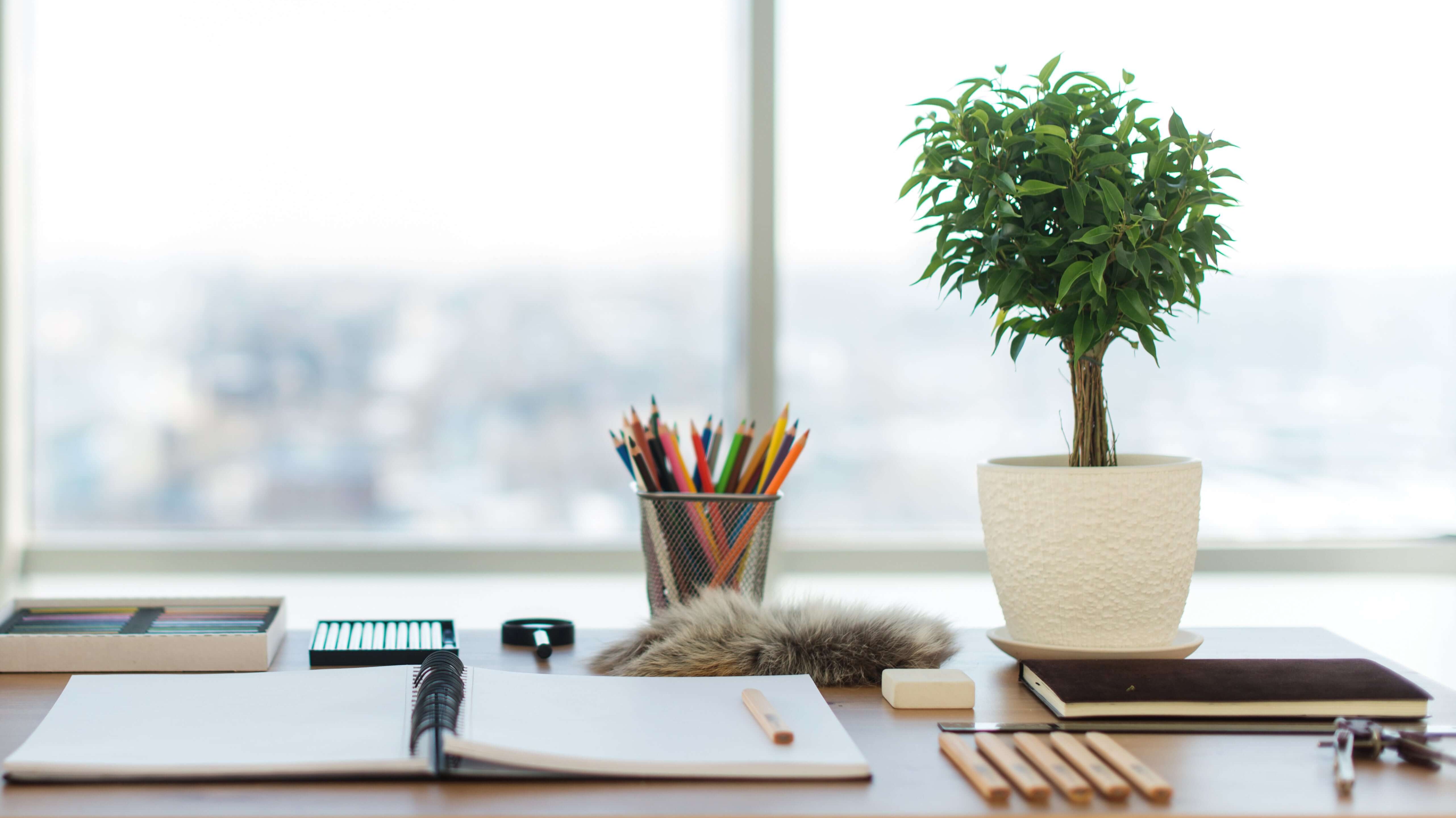 How Organizing Your Office Can Increase Productivity