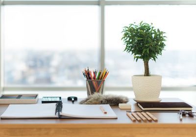 How Organizing Your Office Can Increase Productivity