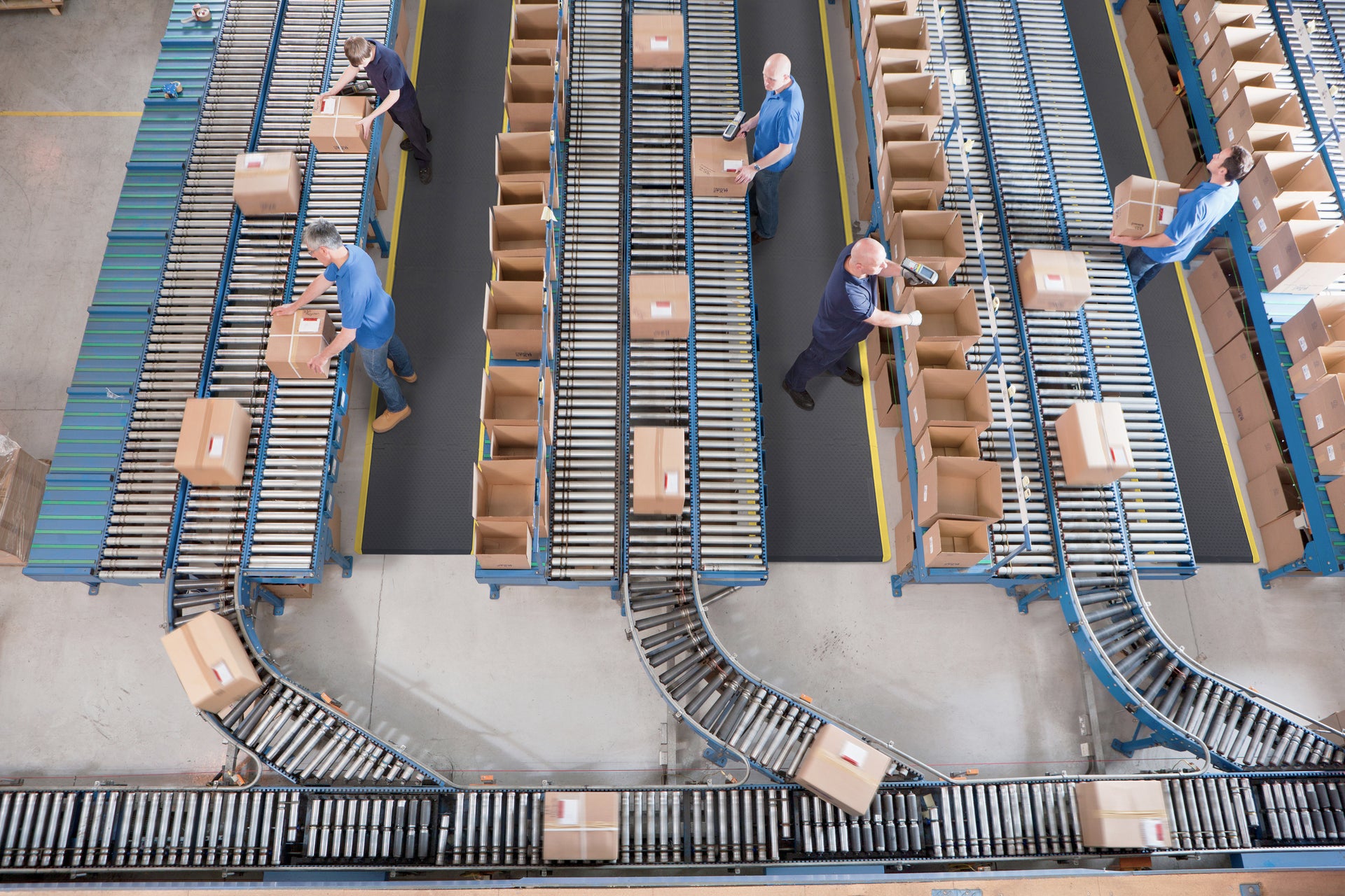 Engineered for Wellness, Built for Performance